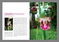 2. Misiones Orquideas = Orchids 9872486549 Book Cover