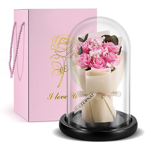 TangDouJM Regalo para Mujer， Ramo De Rosas Rojas con CúPula De Cristal, Regalo De Rosas Atemporal, para Pareja, Navidad, San ValentíN, DíA De La Madre, DecoracióN De Interiores.