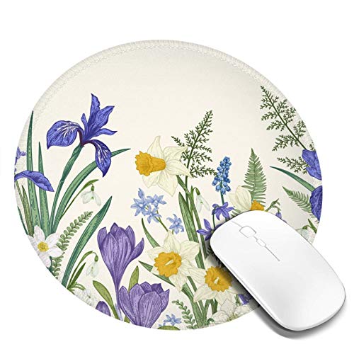 DADABULIU }EXpbh ~` `   t Ԕ i Q[~O S w}EXΉ ~ ϋvǂ  킢 h TCo[JtF ItBXœK Kxȕ\ʖC aF20cm