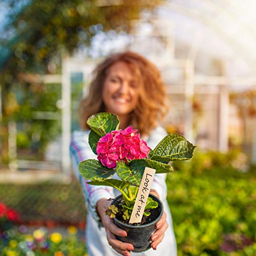 60 Pcs Plant Labels, Wooden Garden Markers Tags With Two Marker Sign Pens, Waterproof Pointed Eco-Friendly Sticks For Outdoor Indoor Potted Plants, Herbs, Flowers And Vegetable #TOP4