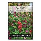 Sow Right Seeds - Balsam Tom Thumb Mix Flower Seeds for Planting - Indoors or Outdoors - Non-GMO Heirloom Packet with Instructions to Plant in Your Garden - Impatiens - Colorful Blooms (1)