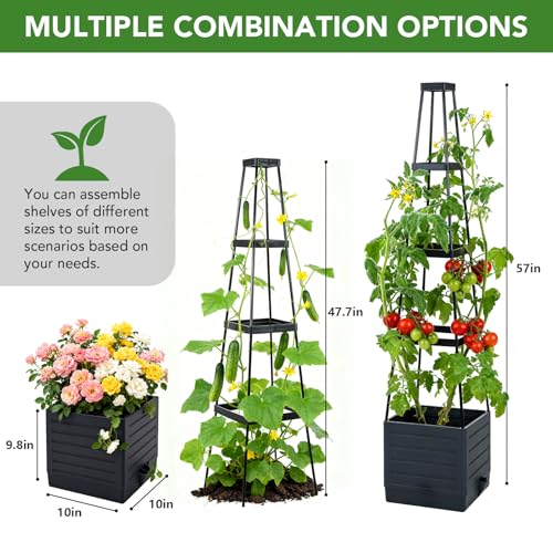 2 Pack Raised Garden Bed Planter Box with Trellis, 57'' Self Watering Tomato Planters for Climbing Plants, Tomato Cage Trellis for Vegetables & Vine Flowers Indoor Outdoor Patio - Image 6