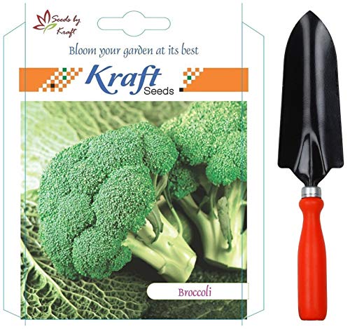 Image of Kraft Seeds Trowel & Broccoli Combo