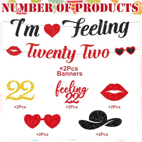 Image of 22nd Birthday Party Decorations for Girls Women, I'm Feeling Twenty Two Glitter Banner with Hanging Swirls Decorations, Singer Themed Girls 22 Years Old Birthday Decor Supplies