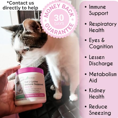 image for Balanced Breed L-Lysine Cats Immune Support Soft Chews Made in USA Vet