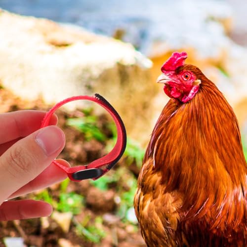 GOOHOCHY Colliers Volaille Nylon Anti-Bruit 10 Pièces Rouges Réglables Adaptés aux Poules d’Élevage en Extérieur – vue 5
