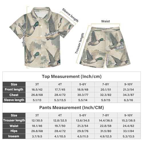 Boccsty Mallard Ducks Camo Boy Summer Shorts Sets Hawaiian Toddler Boys T-Shirt & Pants 2 Pcs 3T3
