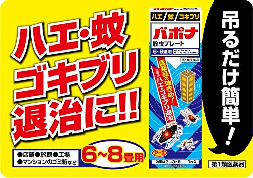 カマドウマをホウ酸塩で防げるか 山暮らしの害虫対策 山暮らし始めよう