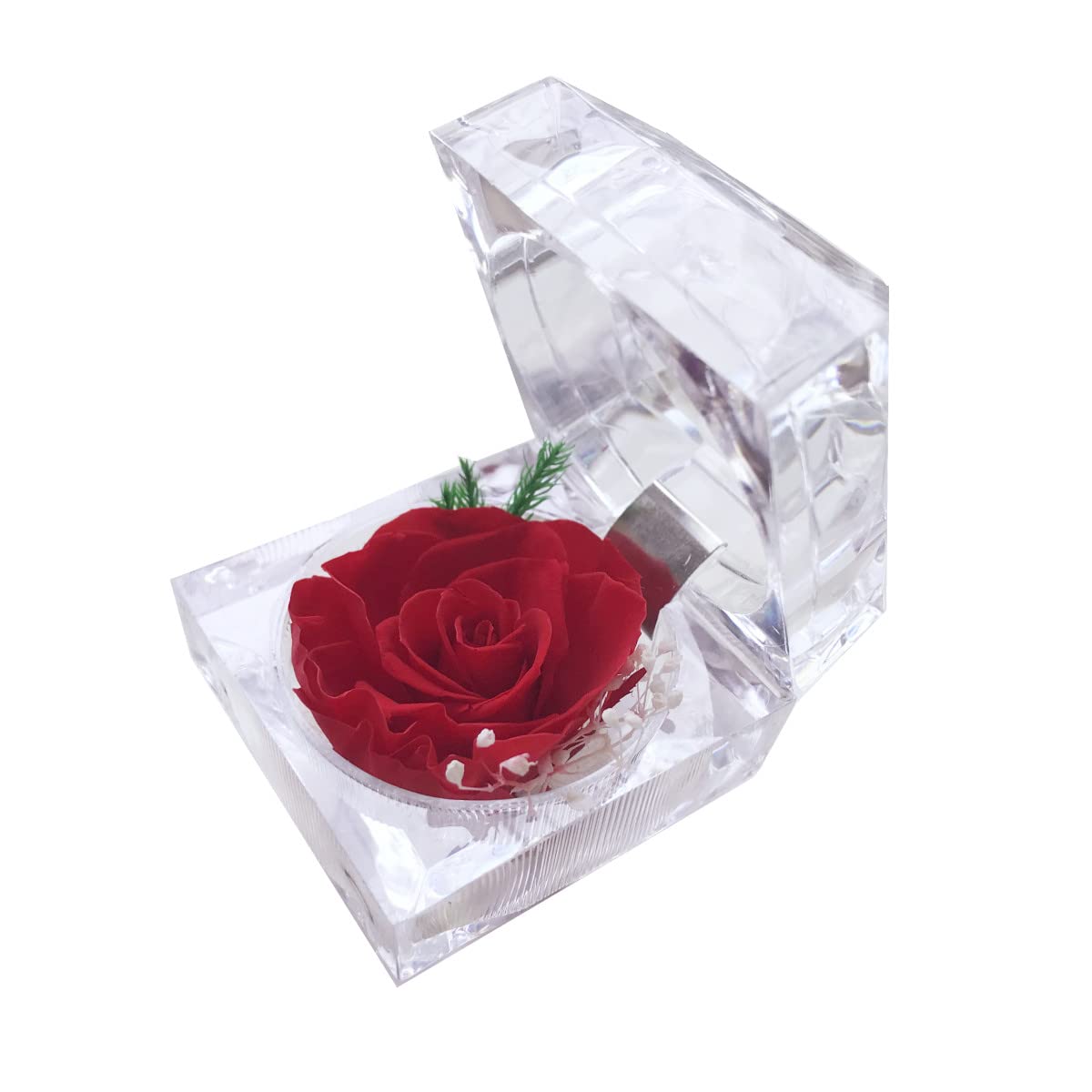 Doramagic Women's Red Preserved Rose Real Forever Rose In Mini Clear Ring Box, Eternal Flower Rose Gifts For Mom Girlfriend Grandma, Mothers Day, Anniversary, Valentines, Christmas, Birthday (Red)