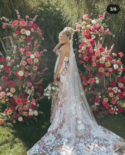 2025 Women's Strapless Mermaid Boho Wedding Dresses Colored Embroidery Bridal Dress for Fall Wedding SF0982