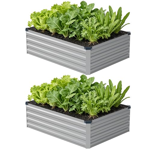 zunatu 4x3x1 ft(2 Pack) Galvanized Raised Garden Bed Outdoor Planter Box Metal Patio Kit Planting Bed for Vegetables Flowers and Succulents Silver