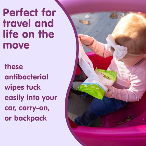 Image of Boogie Antibacterial Hand Wipes - 20 Count - Hypoallergenic & Alcohol-Free - Travel and Diaper Bag Essential