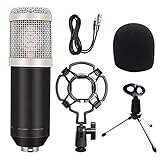 Anti-wind foam cap protect microphone and minimize the surrounding noise