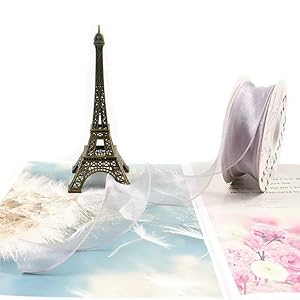 Ezvfirpdfz 10 Meter Seiden-Organzaband P1xTUz912