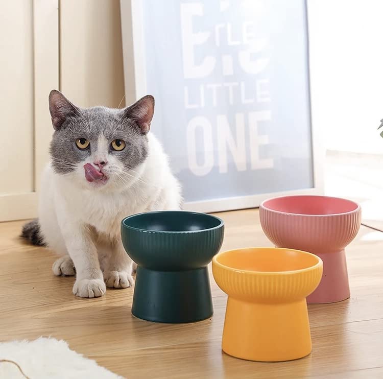 Image of PETANGEL Ceramic Cat Food Or Water Bowl,Raised Cat Feeder Dishes with Stand,Elevated Pet Food Bowl for Cats and Small Dogs,Stress Free Backflow Prevention, Anti Vomiting & Reduce Neck Burden (Yellow)