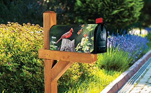 Image of Studio M Cardinal Song Decorative MailWrap, The Original Magnetic Mailbox Cover, Made in USA, Superior Weather Durability, Standard Size fits 6.5W x 19L Inch Mailbox