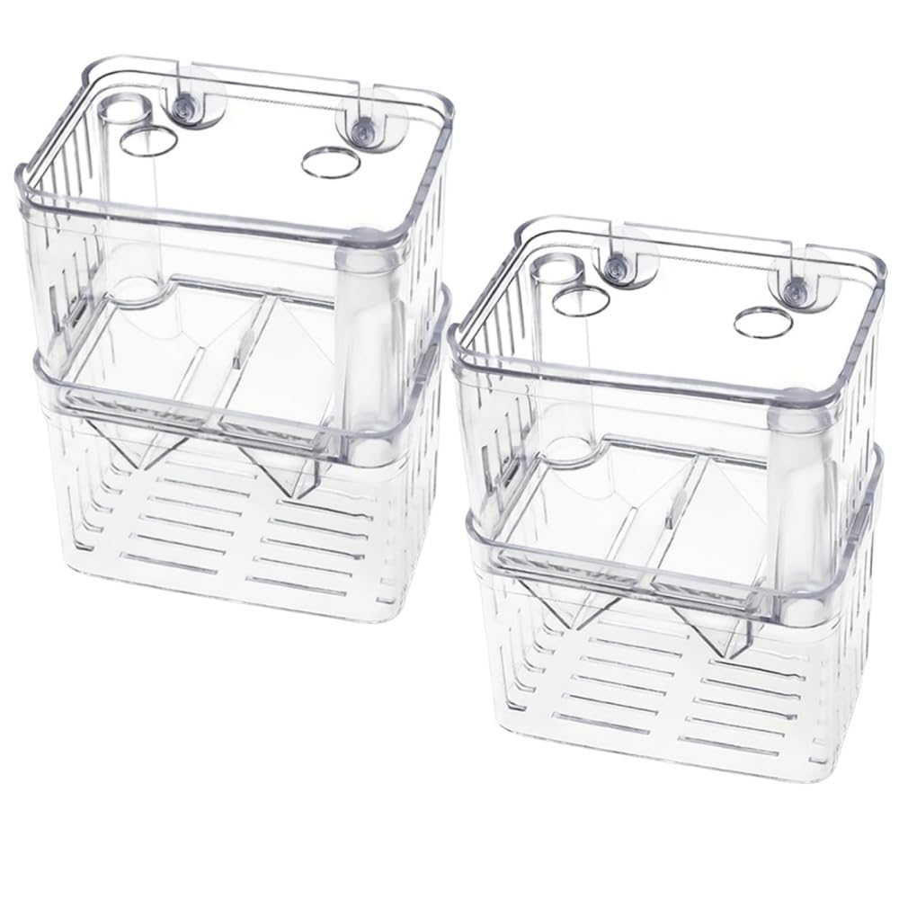 青磁水注 雨龍型 亀形　木箱（共箱） 楽天市場】【送料無料】カメ 水槽 飼育ケース 亀 水槽 60×30