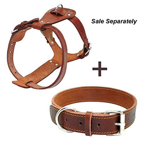 Beirui Genuine Leather Dog Harness - No Escape Harnesses For Small Medium Dogs Pet Training Walking - Easy Adjustable Sturdy Strap Harness (Chest For 19-25", Brown) #TOP3