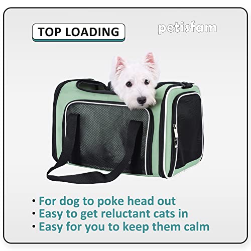 Soft Pet Carrier For Medium Cats And Small Dogs With Washable Cozy Bed, 3 Doors And Shoulder Strap. Easy To Get Cat In, Easy Storage, Lightweight, Airline Approved #TOP1