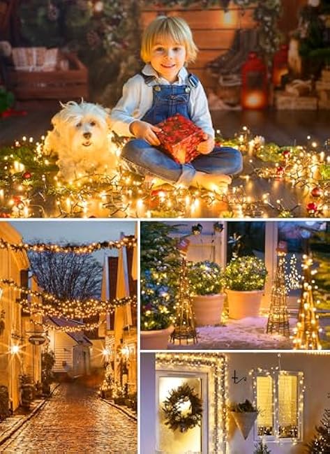 66FT 200 LED Christmas Tree Lights, Twinkle Fairy Lights String with 8 Flashing Modes String Lights for Indoor Bedroom Outdoor Christmas Trees Garland Wreath Holiday Decorations, Warm White