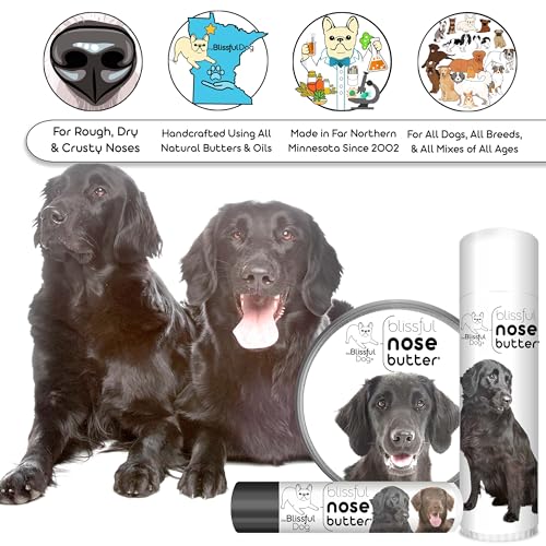 Image of The Blissful Dog Flat Coat Retriever Unscented Nose Butter, 16oz