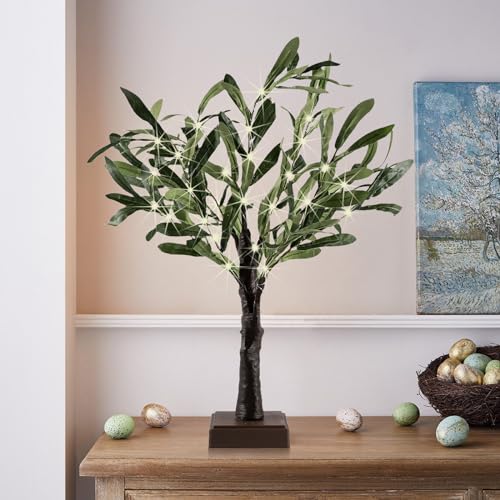 Reviews y listado de Bonsai olivo favoritos de las personas. 13 Imagen adicional