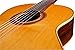 Cordoba F7 Paco Acoustic Nylon String Flamenco Guitar