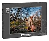 fotopuzzle.de: Puzzle 1000 Teile „Lustiges rotes Eichhörnchen, das wie Master of The Universe im Wald Steht. Comic-Tier“ – aus der Puzzle-Kollektion Eichhörnchen, Tiere in Wald & Gebirge