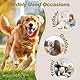 Hisprout 3-Pack Weibliche Hundewindel mit Straps Wiederverwendbare Waschbare Atmungsaktive Haltbare Hundehose für Hitzesaison Periode Inkontinenz(M,Pink/Purple/Black)