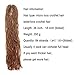 RAYIIS Micro Locs Crochet Hair Super Lightweight 4 Pack Sisterlocks Crochet Hair Synthetic braids Hair Extensions (#30, 18 Inch)