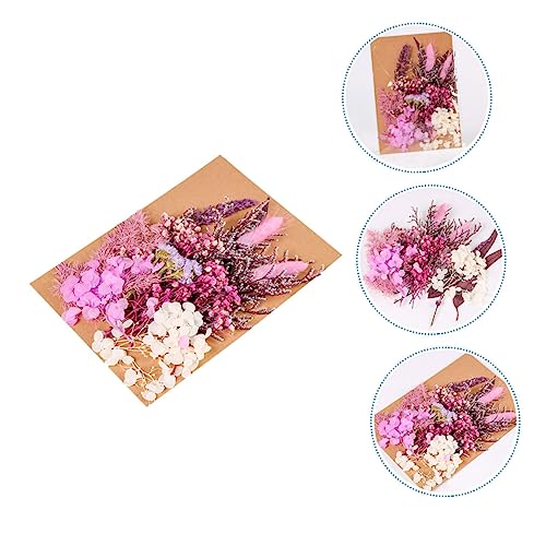 Paquete de flores prensadas para decoración y manualidades miniatura 3