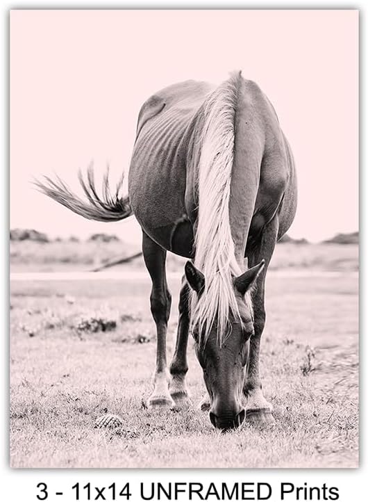Horse Wall Decor LARGE 11x14 - Western Home Decor for Girl Bedroom, Office, Living Room - Boho-chic, Shabby chic Art - Ideal Gift for Equestrian Women - Pink Pony - Farmhouse Wall Art Set for Girls