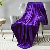 DREAMNINE Super Soft Fuzzy Fleece Throw Blanket for Couch Sofa 50' x 60', Decorative Solid Lightweight Velvet Blanket for Chair, Cozy Accent Shaggy Micro Plush Flannel Blanket for Bedroom Dorm, Purple