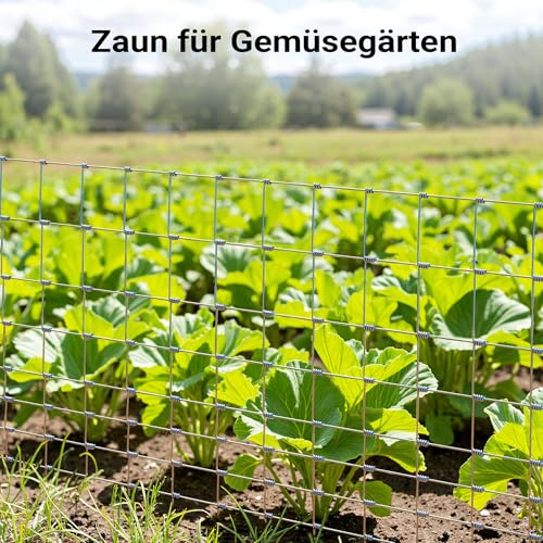 Wiltec Wildzaun 100/08/15 50 m lang, 100 cm hoch, 8 Drahtreihen, 15 cm Maschenbreite, Weidezaun aus Knotengeflecht, Drahtzaun z. B. für Forst- und Landwirtschaft