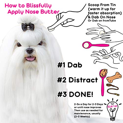 The Blissful Dog Maltese Nose Butter - Dog Nose Butter, 1 Ounce #TOP2