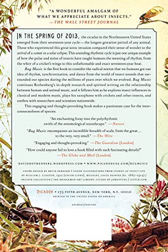 Bug Music: How Insects Gave Us Rhythm and Noise - Image 2