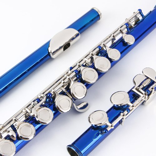 Image of Glory Closed Hole C Flute With Case, Blue