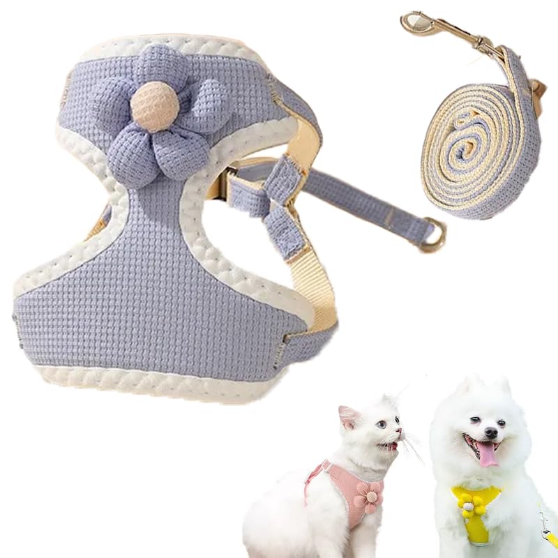 YILNGLU ArnéS Universal con Correa para Perros y Gatos, ArnéS para Gatos A Prueba de Escapes, Set De Floral Pechera Arnes Y Correa, ArnéS Ajustable para Perros PequeñOs, Perros Medianos (Azul, S) - S - azul