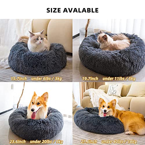 Cat Beds For Indoor Cats - Cat Bed Washable 20/24 Inches, Small Dog Beds For Small Dogs, Anti Anxiety Round Fluffy Plush Faux Fur Cat Bed,Thick Bottom Keep Pets Off The Cold Tile, Non-Slip #TOP5