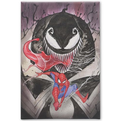 Galerie décoration murale sur toile Marvel à offrir pour un anniversaire