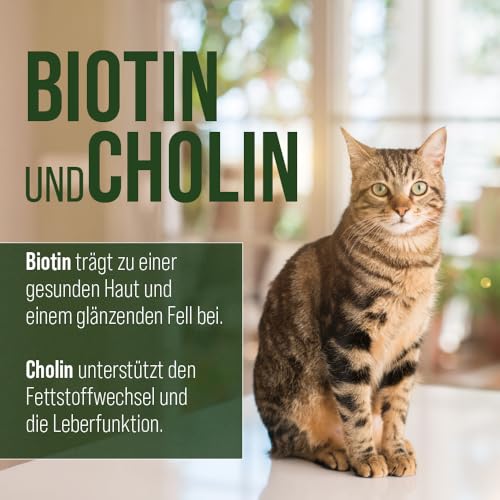 Sanct Bernhard Vitamin-B-Komplex-Hunde-120 Kapseln, 1er Pack (1 x 48 g)