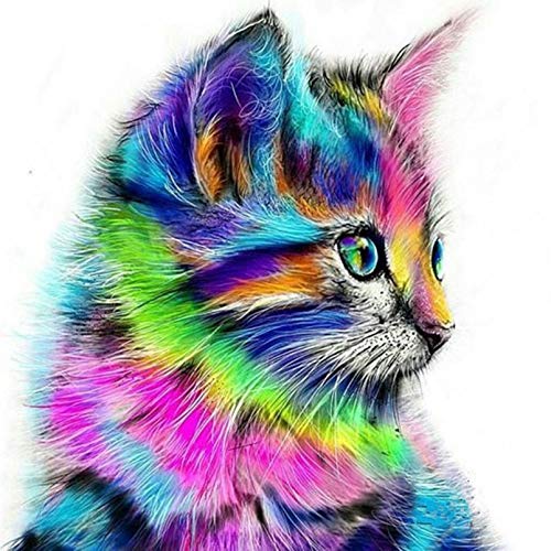 DIY 5D Diamond Painting Art Kits for Adults Cross Stitch Kits Pattern Picture Arts Craft Supply Home Wall Decor(Colorful cat)