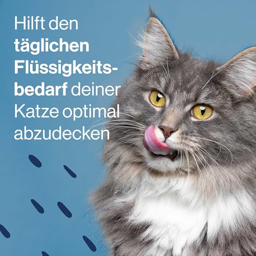 Pets Deli Katzensuppe Huhn – Getreidefrei mit Präbiotika für eine gesunde Verdauung – 12 x 40g