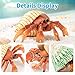 THINKBAY 6PCS Hermit Crab Figurines Toys,Ocean Sea Animals Toys Figures, Realistic Soft Sea Creatures Toys for Kids Boys Girls,Birthday Gifts Cake Toppers Decoration for Toddlers Boys Girls