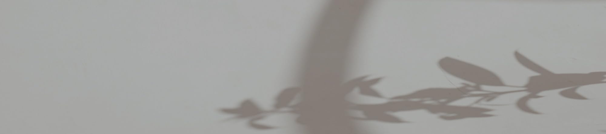 Die Amazon Seite von Pia