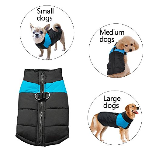 Abrigo Berry para perro de tamaño pequeño, mediano o grande (S-5XL) 