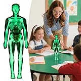 Zoom IMG-2 human body model 11 inch