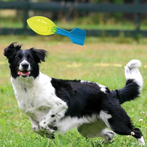 Nerf Hunde-Vortex-Ball mit lautem Quietscher, 30,5 cm, langlebiges interaktives Apportierspielzeug für Hunde, Hellblau/Grün