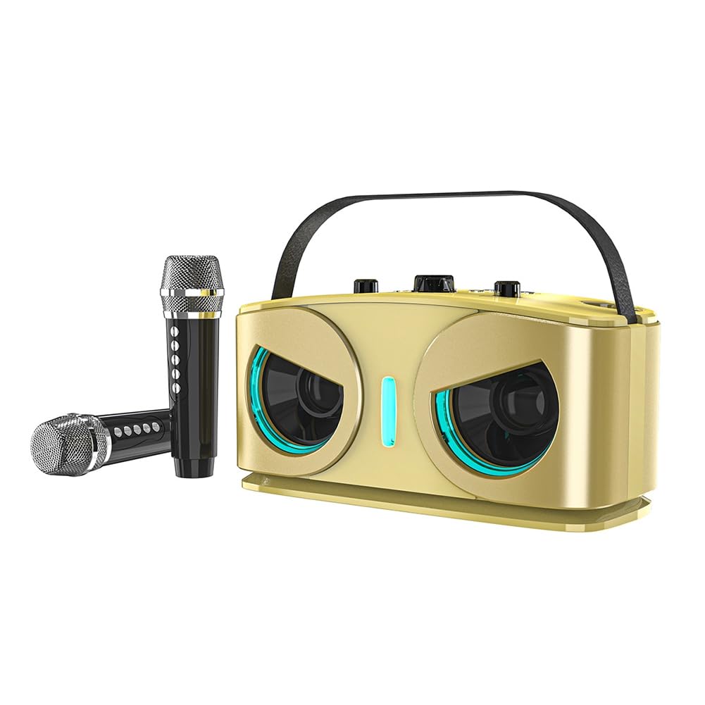 Enceinte Bluetooth Puissante SD306plus Double Micro Haute Fidélité Portable pour Fêtes - 8