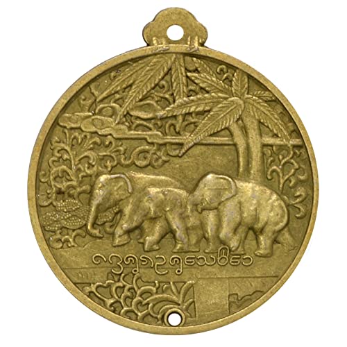 Fengshuibringluck FW5374 Chinese Pure Brass Amulet Old Coins Necklace Pendant Wealth Success&Health And Peace  thumb #1